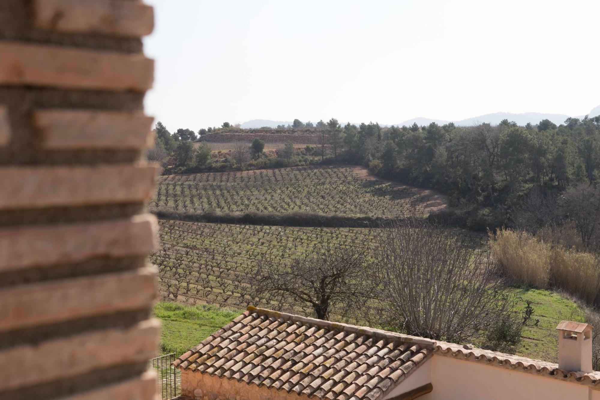 Masia Les Apieres Pension El Pla de Manlleu Buitenkant foto